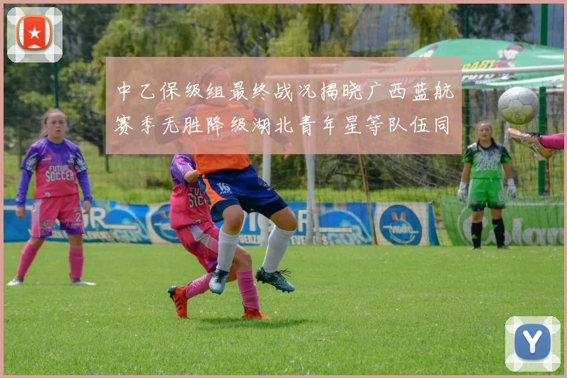 中乙保级组最终战况揭晓广西蓝航赛季无胜降级湖北青年星等队伍同遭降级
