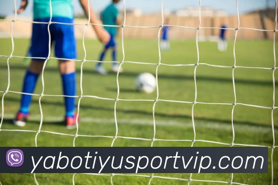 亚博体育APP 封面图